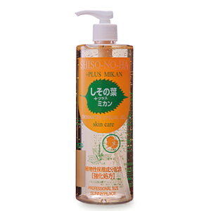 ̗t{~JSgpXLPAWF@500ml@Aێzłꂩ̋G߂̊h܂ ̓ Mtg v[g