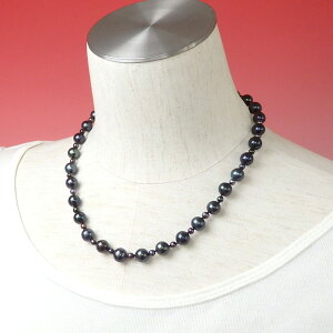 lbNX  Wp[ I[mbg Vo[ W^ ^ NX}X Mtg v[g