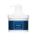 セポラージュ ジェルクレンザー 400g 東菱化研 業務用 トービシ バレンタイン ギフトに プレゼントに