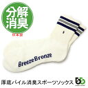 ブリーズブロンズ 消臭 スポーツソックス 消臭靴下 厚底 パイル 消臭ソックス ボーダー S-17 日本製