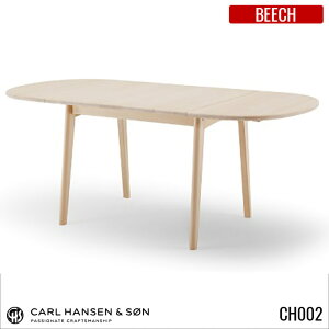 y󒍐YizCH002 _CjOe[u / r[` / J[EnZT nXEJEEFOi[