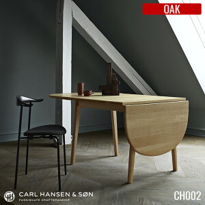 y󒍐YizCH002 _CjOe[u / I[N / J[EnZT nXEJEEFOi[