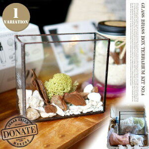 CtX^Cɍ킹ăJX^}CYłO[ŃIWĩA[gs[X쐬BRASS BOX TERRARIUM KITiuX{bNXeELbgjugm0104URBAN GREEN MAKERS(A[oO[
