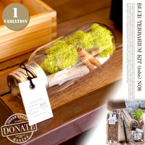 BEAKER TERRARIUM KIT TUBE�i�r�[�J�[�e�����E���L�b�g �`���[�u�jugm0106 URBAN GREEN MAKERS(�A�[�o���O���[�����[�J�[�Y)