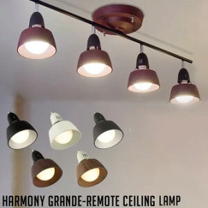 yZ[z V[Ov A[g[NX^WI n[j[Of[gV[Ov x[WWHM (HARMONY GRANDE-remoto ceiling lamp) AW-0359  ARTWORKSTUDIO