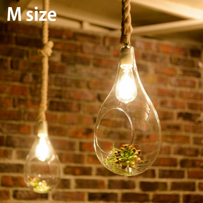 ペンダントライト ボタニックハンギングライトM Botanic Hanging Light M APE-021WH LED ハンキングテラリウム  ボタニカル カフェ風 ガラス 植物 LED付属【送料無料】 | 家具・インテリア・雑貨　ビカーサ