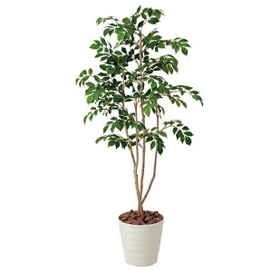 }EeAbV1.3(mountain ash ) G} C~e[VO[ 