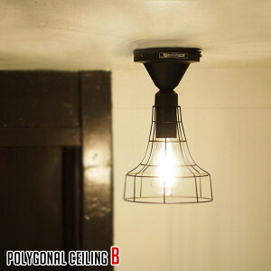 V[Ov A[g[NX^WI |SiV[OB(Polygonal-ceiling B) y_gCg AW-0476ZEAW-0476V S2idEMj ARTWORKSTUDIO