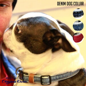 yZ[z ybgpi fj hbOJ[ Denim dog Collar AP16001 [YhZF [YhWF bhRfj  ybgp p { obN AJC JtHj