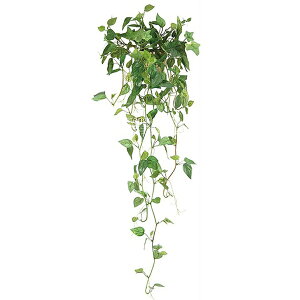 C~e[VO[ Ǌ|tB 2489A45 G} L R h zAfqh̕ C  lC rO Q  i` ǖʃCeA Be[WeCXg 