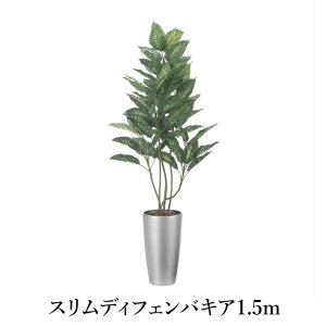 XfBtFoLA1.5m  G} tFCNO[ 2530A300-19 rO L ؂₩