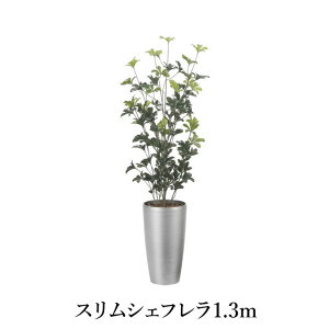 XVFt1.3i|j  G} tFCNO[ 2532A280-19 rO L ؂₩