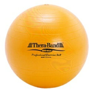 DMbfB[G oX{[ SDS EXERCISE BALLiCG[/45cmj SDS-45