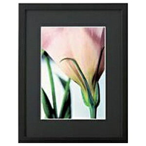 Chikumab`N} ؐzi2L^ubNj FB-2L-BK[FB2LBK]