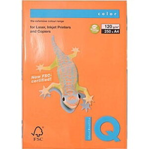 ɓbito-ya kev^lmondi(fB) oCIgbvJ[ 120g/m2 [A4 /250] }X^[h BT733[BT733]