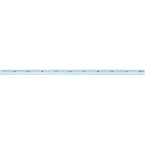 V@bNiigataSeiki A~XP[@AS100