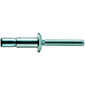 ポップリベットファスナー｜NIPPON POP RIVETS AND FASTENERS ウルトラグリップリベットΦ6.4アルミ丸頭（1000本）　AD895UG