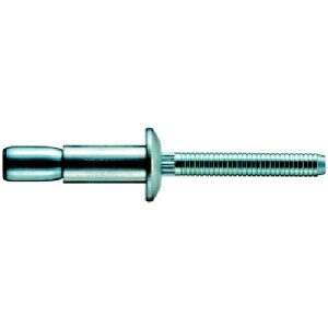 �|�b�v���x�b�g�t�@�X�i�[�bNIPPON POP RIVETS AND FASTENERS �E���g���O���b�v���x�b�g��6.4�A���~�ۓ��i1000�{�j�@AD895UG