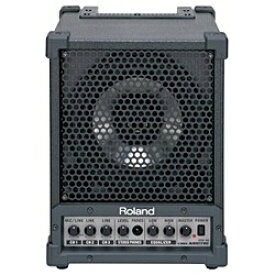 Roland｜ローランド 2ウェイ　モニター・アンプ（1台）CM-30 [2ウェイスピーカー][CM30]