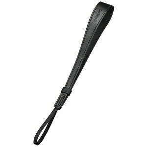 SONY�b�\�j�[ ���X�g�X�g���b�v�i�u���b�N�j STP-WS2[STPWS2]