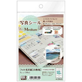 A-one｜エーワン 写真シール Medium 白無地 29622 [はがき /5シート /10面 /光沢]