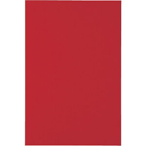 �g���X�R���R�bTRUSCO NAKAYAMA �}�O�l�b�g�V�[�g���L200X300�@�ԁ@MSA2R