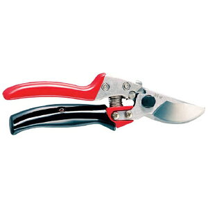 AXR[|[VbARS AXuCGXZu[^[