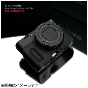 GARIZ�b�Q���Y �{�v�J�����P�[�X �y�\�j�[ RX100MIII/RX100MII/RX100�p�z�i�u���b�N�j�@HG-RX100M3BK[HGRX100M3BK]