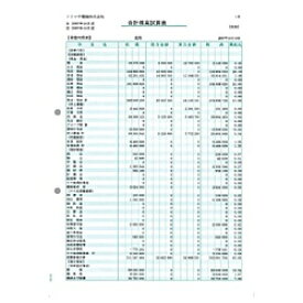 ソリマチ｜sorimachi 合計残高試算表 （500枚）　SR4501[SR4501]
