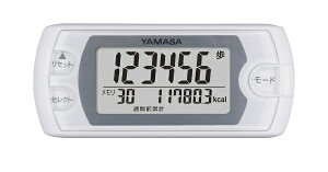 RvvbYAMASA v |Pbg sAzCg EX-500-W [obO/|PbgC^Cv][EX500W]