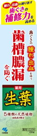 小林製薬｜Kobayashi 生葉 歯磨き粉 100g