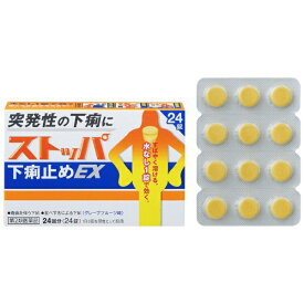 【第2類医薬品】ストッパ下痢止めEX（24回分）LION｜ライオン