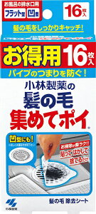 ѐbKobayashi ̖яW߂ă|C 16kCp܁l