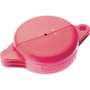 phECbgbPANDUIT Q[goubNAEg@ԁ@PSLV13