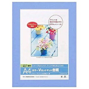 iJoVbNakabayashi VJbg}bg䎆 Digio iA4/u[j DGVM-A4-B[DGVMA4B]