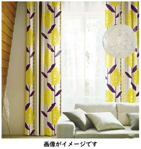 �X�~�m�G�bSUMINOE �h���[�v�J�[�e�� �P�C�����T�X(100×178cm/�C�G���[)[V1234100X178]