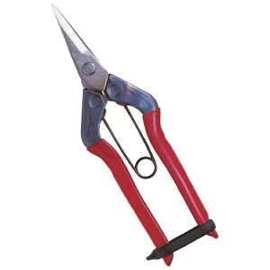 �ߐ��bCHIKAMASA �X�e�����X�E����[T500S]