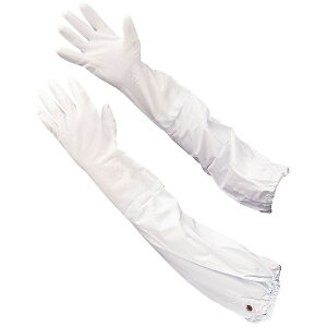 V[O[ubSHOWA No240rJo[t@LTCY@zCg@NO240LW