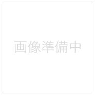 長谷川製作所｜Hasegawa モデリング ソー スクライパー(けがき鋸) TP-4