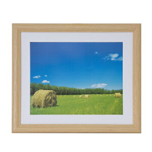 FUJICOLORbtWJ[ ؐz YM-3i6؁^ؒn ANj[YM3]