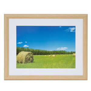 FUJICOLORbtWJ[ ؐz YM-3ifW^A4^ؒn ANj[YM3]