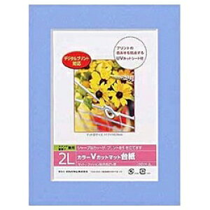 �i�J�o���V�bNakabayashi V�J�b�g�}�b�g�䎆 Digio �i2L/�u���[�j DGVM-2L-B[DGVM2LB]