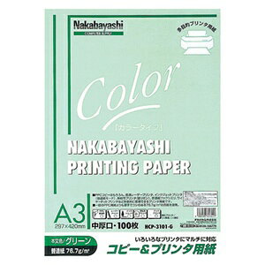 iJoVbNakabayashi Rs[v^p[J[^Cv]iA3E100/O[j@HCP-3101-G[HCP3101G]