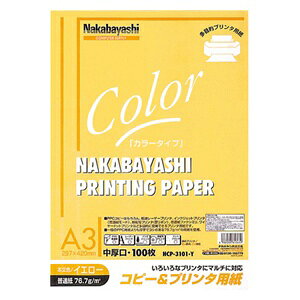 iJoVbNakabayashi Rs[v^p[J[^Cv]iA3E100/CG[j@HCP-3101-Y[HCP3101Y]