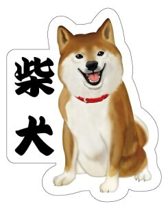 MfUCt@Ng[ MfUC _CJbgV[ Č Č ST058