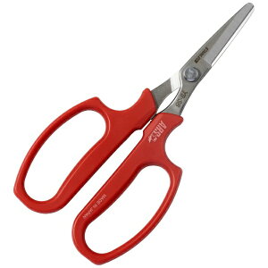 AXR[|[VbARS ؎n  XeX YS-38