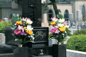 t@~[ECtbFamily-life p͂Ȃ2g