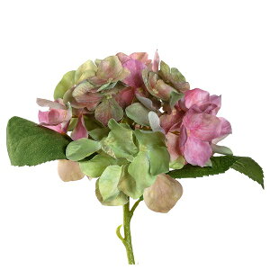 LeonardobIih 12P S  POESIA AWTC 018683-CN