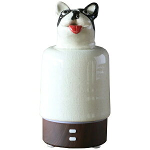 ۗʎ쑠X Aj}A}fBt[U[ S {XgeA