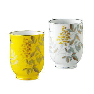 yGg[ōőSz|CgҌb11/5z ЁbKORANSHA WʓV g YW1096-2CB1